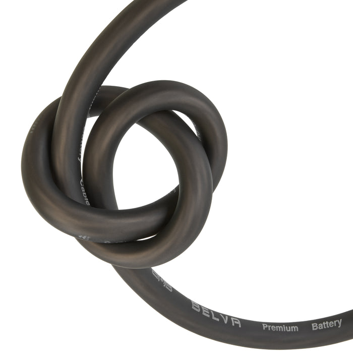 QBSTA 900W Peak (300W RMS) 11" Quick Bass Spare Tire Amplified Subwoofer System with Remote Bass Level Control and Amplifier Wiring Kit